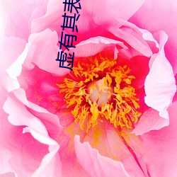 虚有其表(biǎo)全文免费阅读