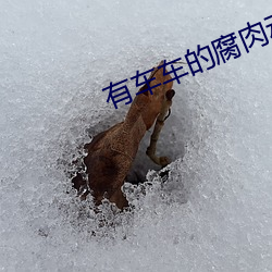 有車車的腐肉動畫網入口