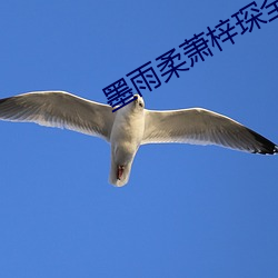 墨雨柔(柔)萧梓琛(琛)全文免费阅读的小(小)说