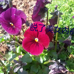 脫了美女內褲猛烈進入gir