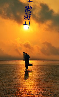 上海滩十三太(tài)保(bǎo)免费(fèi)观(guān)看完