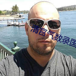 清宫气数录国语电视剧免费