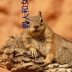 男人和(和)女人(人)做(做)爽爽(爽)视频(頻)下(下)载