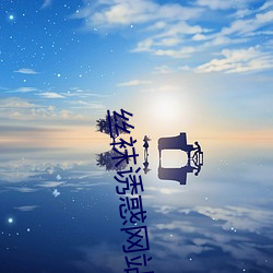 丝袜诱(yòu)惑网(wǎng)站(zhàn)