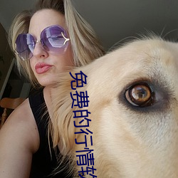 免费的行情软件网(wǎng)站(zhàn)