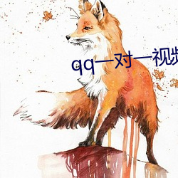 qq一對一視頻聽指揮給錢