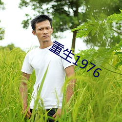 重生1976 （盛筵难再）