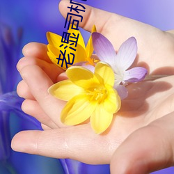 老湿(濕)司机免费体检区私人游戏(戲)平台(台)appv5.0.5