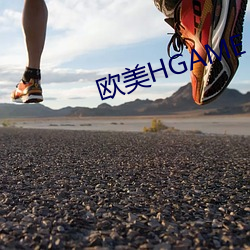 欧美(美)hgame