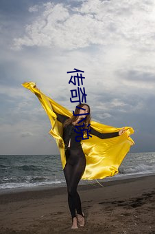 传(傳)奇小(小)说