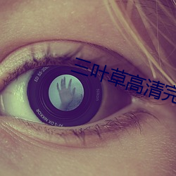 三叶草高(高)清完整版在线观(觀)看
