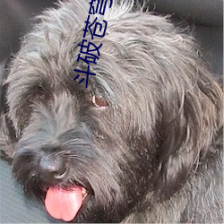鬥破蒼穹前傳之藥老傳奇