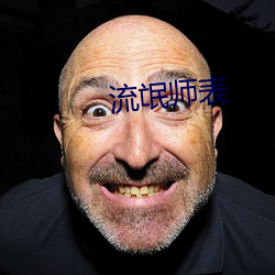 流氓師表