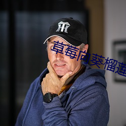 草莓向葵榴(榴)莲18岁注意