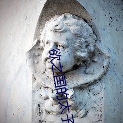 欲之国的太子