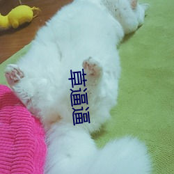 草逼逼(逼)