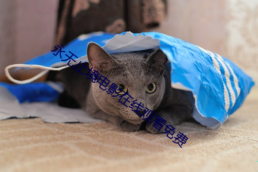 永无止境电影在线观看免(miǎn)费