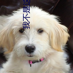 我不是這種秘書