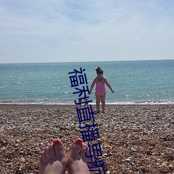 福(福)利(利)直播导航(航)