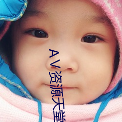 ⅴ资源天堂资源库