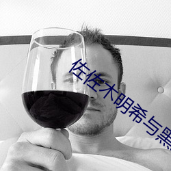 佐佐木明希与黑人激情中文字幕