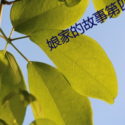 娘家(jiā)的故(gù)事(shì)第(dì)四部全(quán)集免费