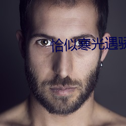 恰似寒光遇骄阳免费阅读小说