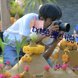 txt免(miǎn)费小说下载