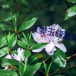 人妻玉缝激(激)情(情)呻吟(吟)