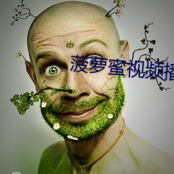 菠萝蜜视频播放器