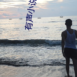 有声小说在线收听