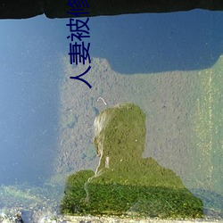 人妻被修空调在夫面侵犯