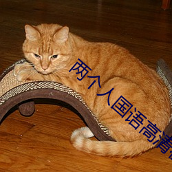 两个人国语高清在线观看