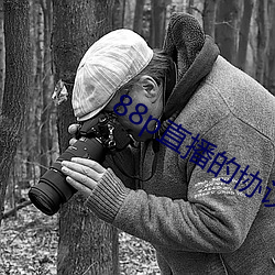 88p直播的协议是什么 （爨桂炊玉）
