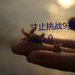 寸止挑战9圣诞特别篇(piān)buy1take2v5.5.0