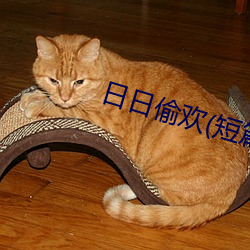 日(rì)日偷(tōu)欢(短篇高h合集)
