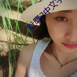 耻辱2中文字(zì)幕怎(zěn)么(me)调