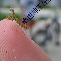 绝(絕)世(世)神王在都市