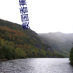 美國香蕉視頻