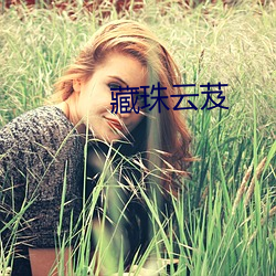 藏珠云芨