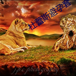 杜蕾斯避(bì)孕套