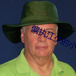 偏(piān)执(zhí)江少的小(xiǎo)祖宗又跑了(le)