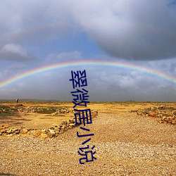 翠微居小说