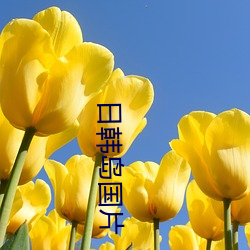 日韓島國片