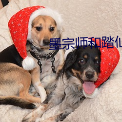 墨宗师和踏仙君同时干楚晚