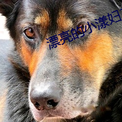 漂亮的(的)小(小)漾(漾)妇3中文版