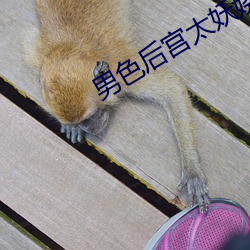 男色后宫太妖娆
