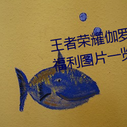 王者榮耀伽羅太華被哭還流東西福利圖片一覽