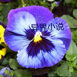 異界小說