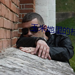 玉米地里的(de)桂(guì)琴和建树